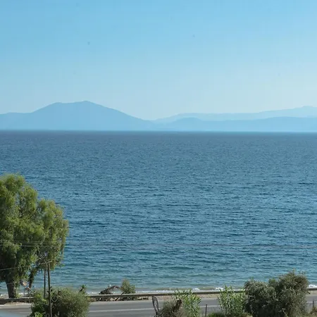 Lilly's Seaview Apartment