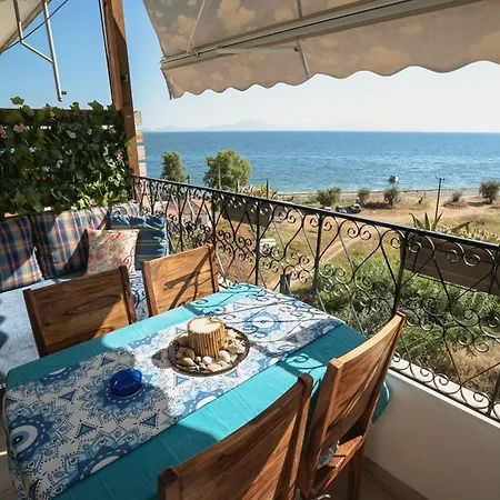 Lilly's Seaview * Malaki