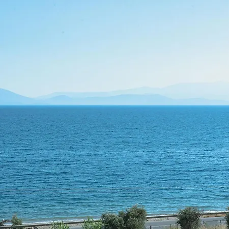 Lilly's Seaview